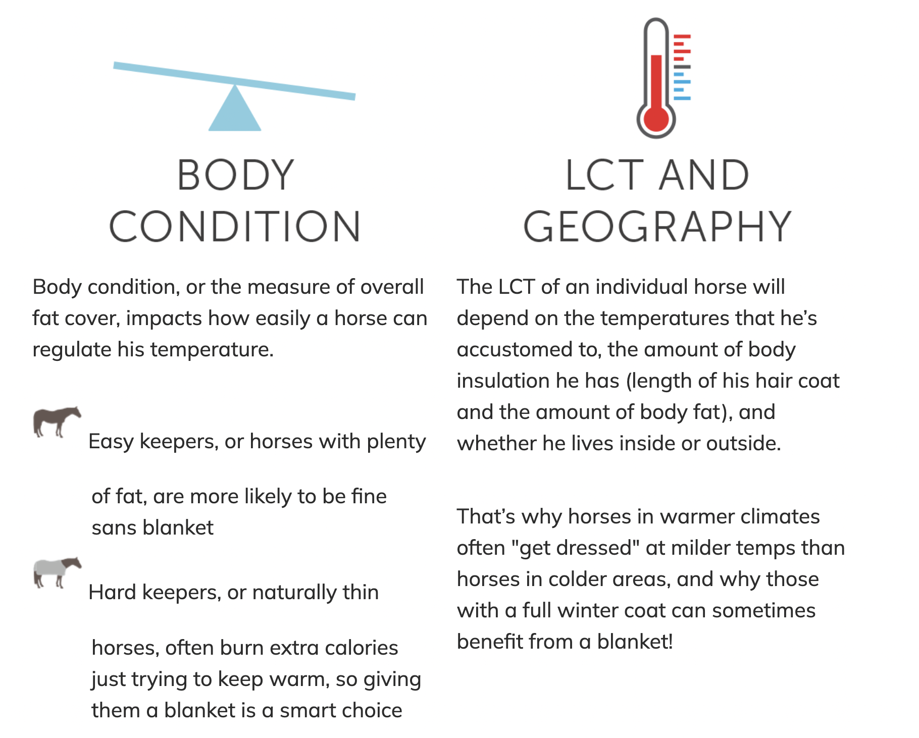 SmartPak Monday Morning Feed When to Blanket HORSE NATION